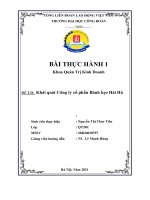 BÀI THỰC HÀNH 1 Khoa Quản Trị Kinh Doanh ĐỀ TÀI Khái quát Công ty cổ phần Bánh kẹo Hải Hà