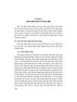 Giáo trình Chăn nuôi gia cầm: Phần 2 - PGS.TS. Nguyễn Đức Hưng