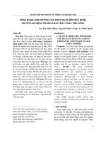 Tổng quan ảnh hưởng của thủy ngân đến sức khỏe người lao động trong khai thác vàng thủ công