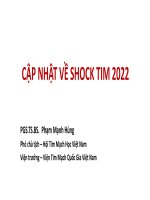 Cập nhật về sốc tim 2022