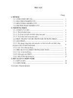 (SKKN mới NHẤT) giải pháp để giải nhanh các bài toán liên quan đến thể tích, tỉ số thể tích của khối chóp tứ giác có đáy là hình bình hành 