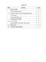 (SKKN mới NHẤT) một số giải pháp giúp học sinh giải các bài toán tính thể tích khối chóp trong hình học không gian 