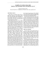 Nghiên cứu dòng phản hồi trước chân đê biển bằng mô hình vật lý