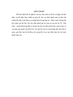 Giải quyết tranh chấp về thế chấp quyền sử dụng đất từ thực tiễn xét xử tại tòa án nhân dân quận ngô quyền, thành phố hải phòng (luận văn thạc sỹ luật học) 