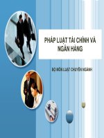 Bài giảng Pháp luật tài chính và ngân hàng - Chương 1: Khái quát về pháp luật tài chính ngân hàng