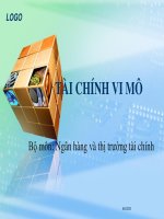 Bài giảng Tài chính vi mô - Chương 0: Mở đầu