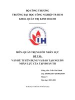 MÔN QUẢN TRỊ NGUỒN NHÂN LỰC ĐỀ TÀI VẤN ĐỀ TUYỂN DỤNG VÀ ĐÀO TẠO NGUỒN NHÂN LỰC CỦA TẬP ĐOÀN TH