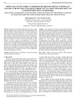 Phân lập, tuyển chọn và định danh một số chủng vi sinh vật có lợi và bước đầu ứng dụng trong xử lý chất thải rắn hữu cơ làm phân bón hữu cơ sinh học