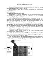 Một số dạng ô nhiễm môi trường