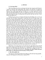 Xây dựng các chủ đề ngoại khóa góp phần nâng cao chất lượng tiết sinh hoạt lớp ở trường THPT (sáng kiến kinh nghiệm lĩnh vực chủ nhiệm) 