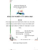 Bản thuyết minh sản phẩm đề tài làm chén đĩa bằng vỏ sầu riêng trường THCS   THPT đông du