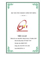 TIỂU LUẬN Phân tích case study Biti’s Hunter Street x VietMax 2020