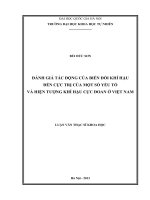 (LUẬN văn THẠC sĩ) đánh giá tác động của biến đổi khí hậu đến cực trị của một số yếu tố và hiện tượng khí hậu cực đoan ở việt nam  luận văn thạc sĩ  khoa học khí quyển và khí tượng 60 44 87 