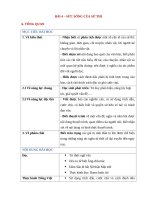 Giáo án ngữ văn 10 kết nối tri thức bài 4 