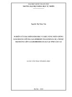 (LUẬN văn THẠC sĩ) nghiên cứu đặc điểm sinh học và khả năng nhân giống loài hoàng liên ba gai (berberis wallichiana DC ) thuộc họ hoàng liên gai (berberidaceae) tại tỉnh lào cai 