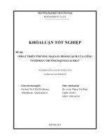 (Khóa luận tốt nghiệp) Phát triển thương mại sản phẩm gạch của Công ty CPTM Viglacera