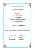 BÁO CÁO DỰ ÁN MÔN HỌC Chuyên đề Xây dựng website bán hàng online tảng Wordpress