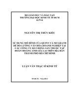 (LUẬN văn THẠC sĩ) sử dụng mô hình của quinn và mcgrath để đo lường văn hóa doanh nghiệp tại các công ty bất động sản thuộc tập đoàn hoàng anh gia lai trên địa bàn thành phố hồ chí minh , luận văn thạc sĩ 