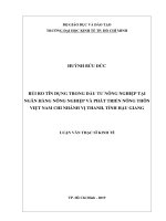 (LUẬN văn THẠC sĩ) rủi ro tín dụng trong đầu tư nông nghiệp tại ngân hàng nông nghiệp và phát triển nông thôn việt nam chi nhánh vị thanh, tỉnh hậu giang 