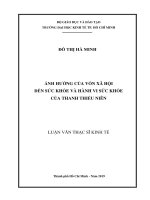 (LUẬN văn THẠC sĩ) ảnh hưởng của vốn xã hội đến sức khỏe và hành vi sức khỏe của thanh thiếu niên 