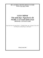 Giáo trình Nguyên lý cắt (Nghề: Cắt gọt kim loại - Cao đẳng nghề): Phần 1 - Tổng cục Dạy nghề