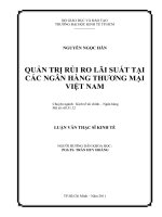 (LUẬN văn THẠC sĩ) quản trị rủi ro lãi suất tại các ngân hàng thương mại việt nam , luận văn thạc sĩ 