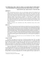 Tạo phối Soma trực tiếp từ chồi và tái sinh chồi từ phôi giống lan Dendrobium Nestor bằng phương pháp nuôi cấy in vitro