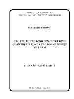 (LUẬN văn THẠC sĩ) các yếu tố tác động lên quyết định quản trị rủi ro của các doanh nghiệp việt nam 