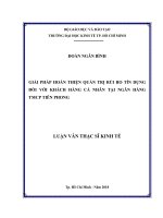 (LUẬN văn THẠC sĩ) giải pháp hoàn thiện quản trị rủi ro tín dụng đối với khách hàng cá nhân tại ngân hàng TMCP tiên phong 