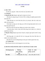 Giáo án ngữ văn 7 sách kết nối tri thức với cuộc sống