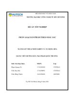 Phân loại sản phẩm theo màu sắc