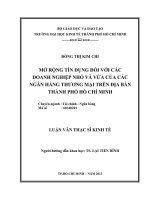 MỞ RỘNG tín DỤNG đối với các DOANH NGHIỆP NHỎ và vừa của các NGÂN HÀNG THƯƠNG mại TRÊN địa bàn THÀNH PHỐ hồ CHÍ MINH 