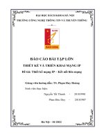 BÁO cáo bài tập lớn THIẾT kế và TRIỂN KHAI MẠNG IP đề tài thiết kế mạng IP – kết nối liên mạng 