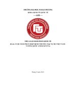 CUỘC ĐÀM PHÁN HIỆP ĐỊNH THƯƠNG MẠI TỰ DO VIỆT NAM  VƯƠNG QUỐC ANH (UKVFTA)