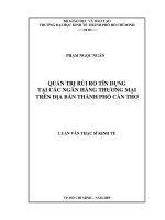 (LUẬN văn THẠC sĩ) quản trị rủi ro tín dụng tại các ngân hàng thương mại trên địa bàn thành phố cần thơ , luận văn thạc sĩ kinh tế 