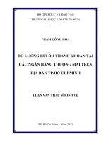 (LUẬN văn THẠC sĩ) đo lường rủi ro thanh khoản tại các ngân hàng thương mại trên địa bàn TPHCM 