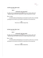 Đề thi kết thúc học phần học kì 2 môn Lịch sử văn minh thế giới năm 2020-2021 có đáp án - Trường ĐH Đồng Tháp