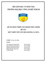 Đồ Án Phát Triển Sản Phẩm: Mứt Thốt Nốt Sấy Dẻo