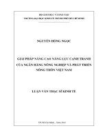 (LUẬN văn THẠC sĩ) giải pháp nâng cao năng lực cạnh tranh của ngân hàng nông nghiệp và phát triển nông thôn việt nam 