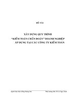(LUẬN văn THẠC sĩ) xây dựng quy trình kiểm toán chẩn đoán doanh nghiệp áp dụng tại các công ty kiểm toán , luận văn thạc sĩ 