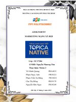 ASSIGNMENT MARKETING MẠNG xã hội topica native