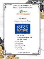 ASSIGNMENT MARKETING MẠNG xã hội topica native
