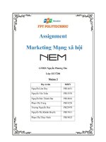 Phân tích môi trường marketing, SOWT của doanh nghiệp NEM CTCP thương mại NEM 