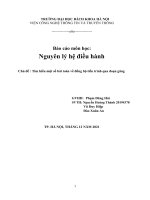 Báo cáo môn học nguyên lý hệ điều hành chủ đề  tìm hiểu một số bài toán về đồng bộ tiến trình qua đoạn găng 