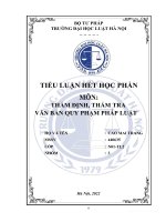 TIỂU LUẬN hết học PHẦN môn THẨM ĐỊNH, THẨM TRA văn bản QUY PHẠM PHÁP LUẬT   thực trạng quy định của pháp luật sở hữu trí tuệ về bảo hộ quyền đối với tác phẩm phái sinh 