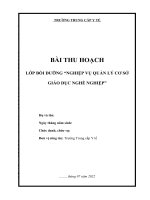 BÀI THU HOẠCH LỚP BỒI DƯỠNG NGHIỆP VỤ QUẢN LÝ CƠ SỞ GIÁO DỤC NGHỀ NGHIỆP _ NĂM 2022