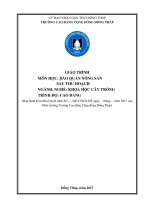 Giáo trình Bảo quản nông sản sau thu hoạch (Nghề: Khoa học cây trồng - Cao đẳng): Phần 1 - Trường Cao đẳng Cộng đồng Đồng Tháp