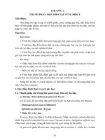 Giáo trình Côn trùng kho vựa (Nghề: Khoa học cây trồng - Cao đẳng): Phần 2 - Trường Cao đẳng Cộng đồng Đồng Tháp