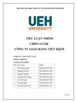 TIỂU LUẬN NHÓM CHIẾN lược CÔNG TY GIAO HÀNG TIẾT KIỆM 