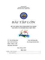 PHÂN TÍCH TÌNH HÌNH TÀI CHÍNH TẠI CÔNG TY CỔ PHẦN MAY VIỆT TIẾN